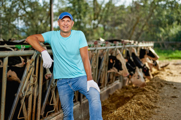 Farmer is working on farm with cows