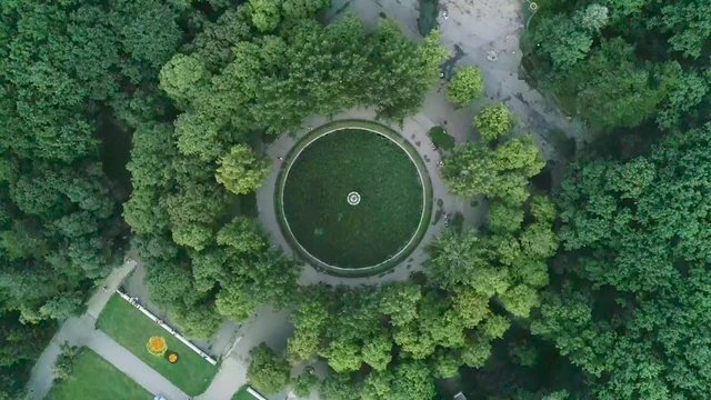 Drone shot of a small pool   covered by green leaves and surrounded by trees in a public park 