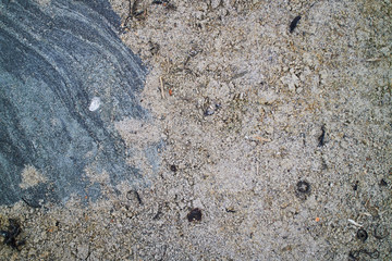Stones laying in the sand on the beach in Denmark