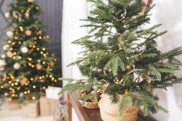 Fototapeta premium Christmas tree background. Closeup still of spurs with handmade decor. New year interior