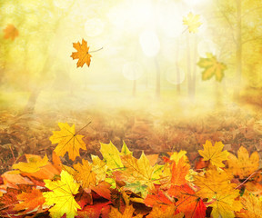 pile of autumn and falling leaves, abstract background