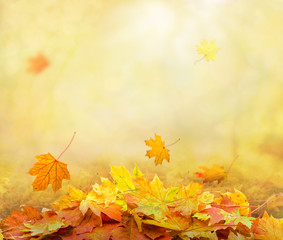 Naklejka na ściany i meble pile of autumn leaves, abstract background