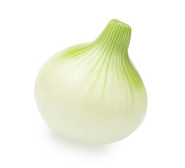 fresh salad onion bulb isolated on white