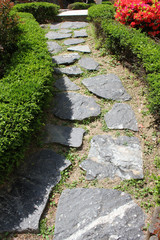 Green shrubs and Stone way