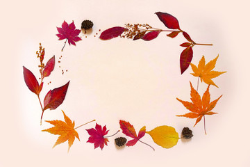 Colourful maple leaves flat lay with rectangular frame