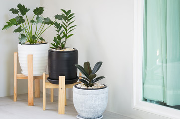 group of plant pots decorated in home