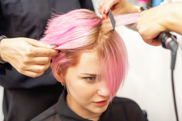 Fototapeta premium Hairdresser straights pink hair of young woman by hair iron in hairdress salon