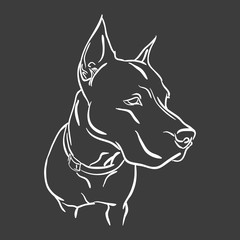 pitbull for logo, symbol, simple illustration, sport team emblem, mascot, design element and label, security idea,