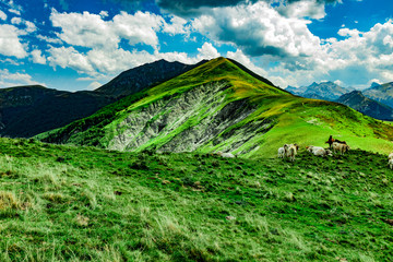 Paisajes durante la subida al Monte Lakartxela en Irati
