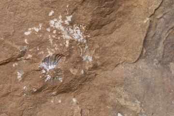 stone in the sand