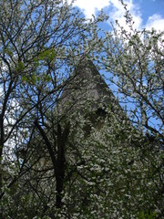 Kształt wieży zamka na tle kwitnącego drzewa, Kamieniec Podolski, Ukraina - obrazy, fototapety, plakaty
