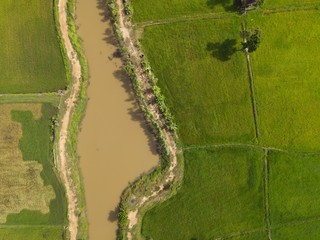 The river flows through the rice fields landscape. at Khukhan Sisaket Thailand.