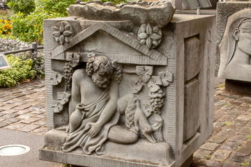 weinreben in stein Mainz