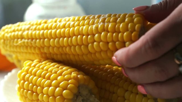 Cooking corn closeup. The chef's hand is salting freshly cooked yellow corn. Train products in your home kitchen. Selective focus, shallow depth of field