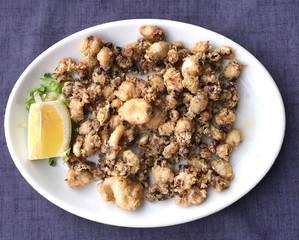 Battered squid. Typical Spanish tapa