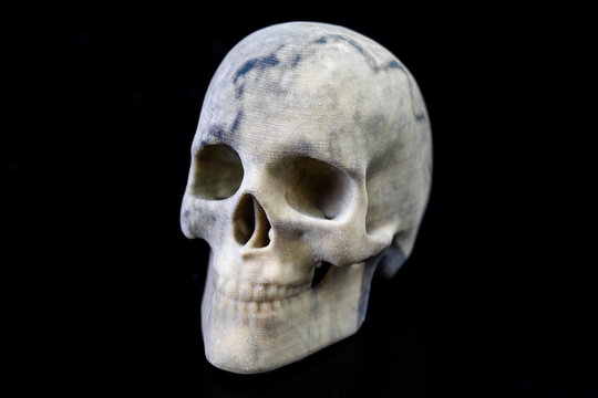 3D printed skull with gypsum as material and as front view picture