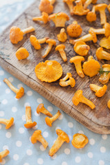 Raw chanterelle mushrooms on wooden background