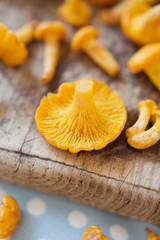 Raw chanterelle mushrooms on wooden background