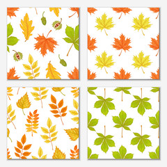 Vector autumn leaves seamless patterns collection  on white background 