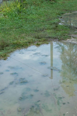 Pozzanghera con riflesso dopo la pioggia