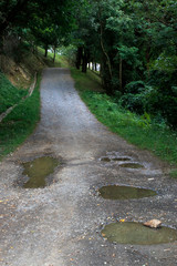 Fototapeta na wymiar Path in the countryside