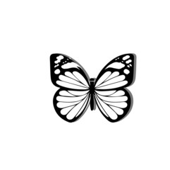 Fototapeta na wymiar butterfly vector illustration