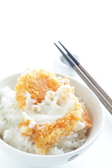 Japanese food, cream crab croquette on rice 