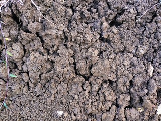 texture of the ground