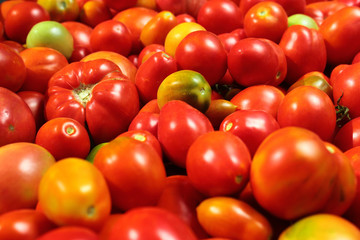 Home grown tomatoes as vegetable background