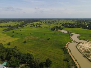 High angle shot river with rice field landscape.