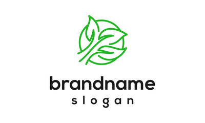 Fototapeta premium Modern leaf logo design vector