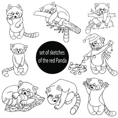 a set of sketches of the red Panda, contour drawing by hand, isolated on a white background, doodles, coloring pages, elements, characters