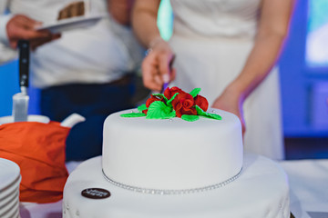 Obraz na płótnie Canvas Panna młoda kroi tort weselny