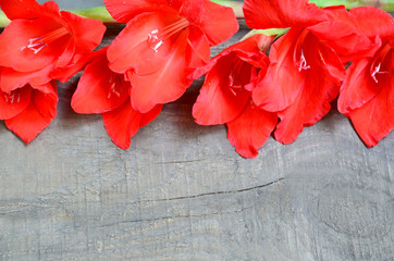 Red gladiolus flower on old wooden table with space for text. Floral background for design.Selective focus.