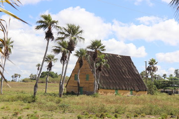 Fototapeta na wymiar キューバの世界遺産、ビニャーレス渓谷でたばこを乾燥させる農家の小屋