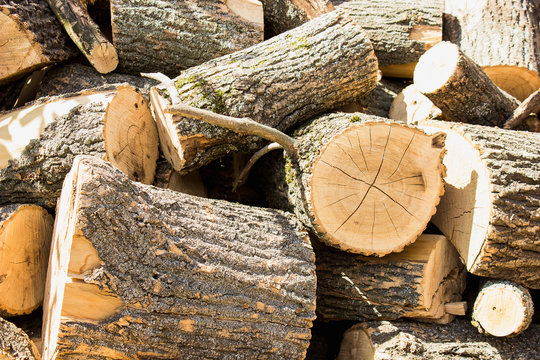 a huge mountain of wooden logs blank for the furnace