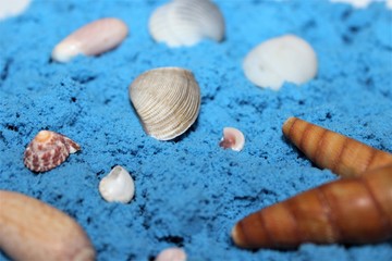 Shells on blue sand. 