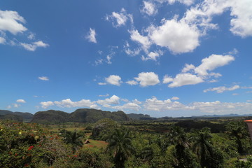 Naklejka premium キューバの世界遺産、ビニャーレス渓谷