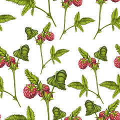 Seamless fruit pattern on an isolated white background. Sprigs and leaves of raspberries with berries. Print for textiles, wrapping paper and more. Stock vector illustration.