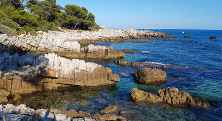 Landscape in the Cap d Antibes, South of France