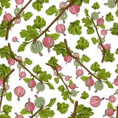 Seamless fruit pattern on a white background. Gooseberry twigs and leaves with berries. Print for textiles, wrapping paper and more. Stock vector illustration.