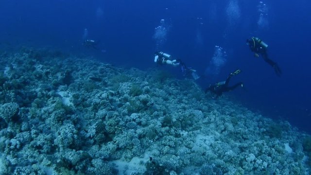 underwater scuba divers scuba diving in clear blue ocean