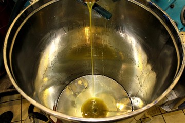 Greece, Attica, extra virgin olive oil extraction process in olive oil mill.