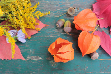 Fototapeta na wymiar Colorful autumn leaves, flowers and acorns on light blue shabby wooden background. Top view, copy space