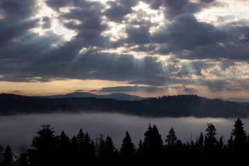 morning summer mountain landscape with fog and clouds in the sky