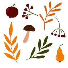 Autumn forest gifts set. Collection of fall forest elements in flat style for cards, posters, stickers, social media, educational tools, patterns, digital craft and other autumn design. Cozy fall art.