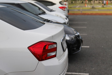 Fototapeta premium Closeup of rear, back side of white car with other cars parking in parking area in twilight evening. 