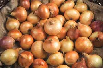 Lots of Yellow and pink onions in the basket on the bag. Top view in processing, close-up. Vegetable background. Concept of food, farm, natural products.