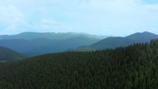 Forest mountains green field hill jungle treen aerial