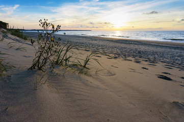 Sunset over the sea. Reflection of sunlight in the sea waves. The sky in the sunset rays.